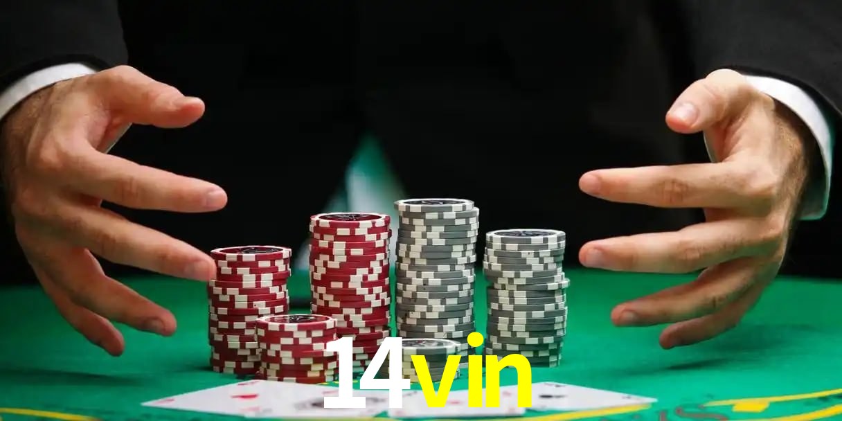 Fortune Tiger 14vin